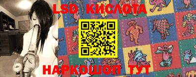 ГАЛЛЮЦИНОГЕННЫЕ ГРИБЫ Кинель