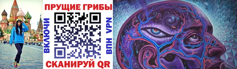 Галлюциногенные грибы Cubensis  как найти закладки  KRAKEN ссылка  Фрязино 