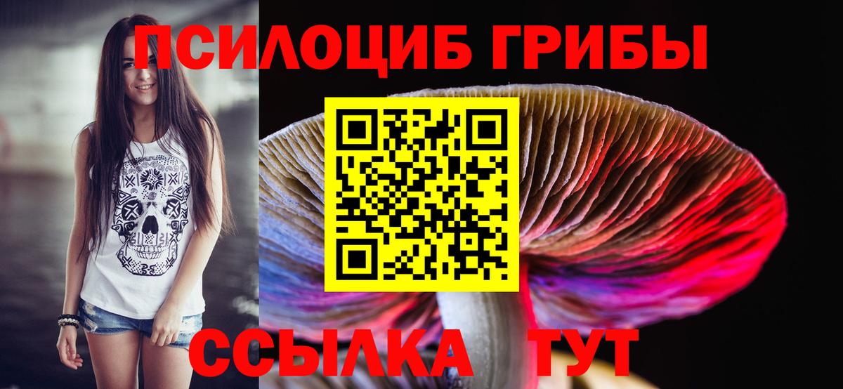 Псилоцибиновые грибы Cubensis Фрязино