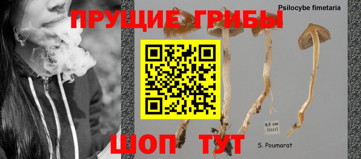 Псилоцибиновые грибы мухоморы  Псилоцибиновые грибы Psilocybe  Фрязино  Вход с VPN 