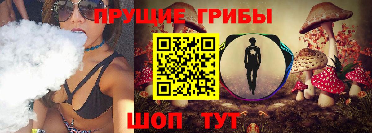 Галлюциногенные грибы Magic Shrooms  Фрязино 