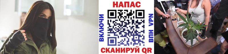 Канабис ГИДРОПОН  Фрязино 