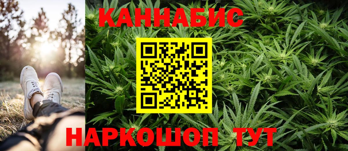 Каннабис план Фрязино